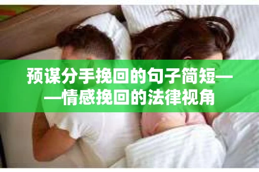 预谋分手挽回的句子简短——情感挽回的法律视角