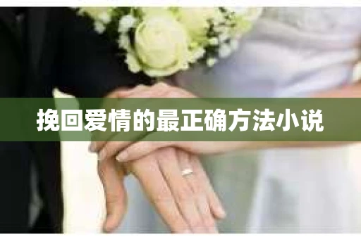 挽回爱情的最正确方法小说