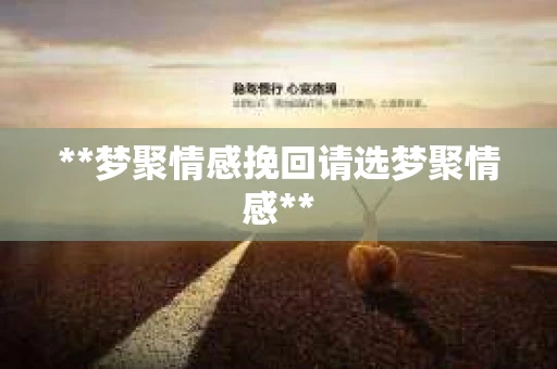 **梦聚情感挽回请选梦聚情感**