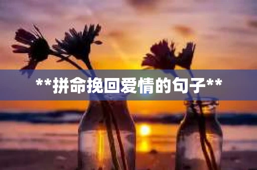 **拼命挽回爱情的句子**