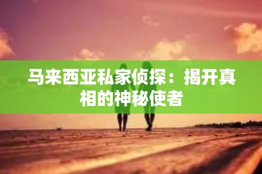 马来西亚私家侦探：揭开真相的神秘使者