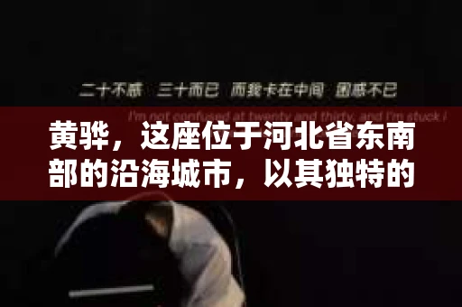 黄骅，这座位于河北省东南部的沿海城市，以其独特的地理位置和丰富的历史文化而闻名。然而，在这座城市中，还有一群人，他们以另一种方式默默守护着社会的公平与正义——私家侦探。今天，我们就来聊聊黄骅的私家侦探，看看他们是如何在这个城市中发挥作用的。