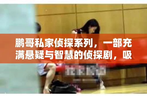 鹏哥私家侦探系列，一部充满悬疑与智慧的侦探剧，吸引了无数观众的眼球。今天，就让我带你走进这个充满神秘色彩的侦探世界，一起在线观看鹏哥私家侦探系列，感受那扣人心弦的故事情节。