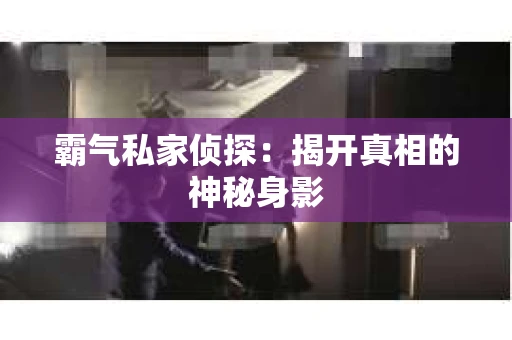 霸气私家侦探：揭开真相的神秘身影