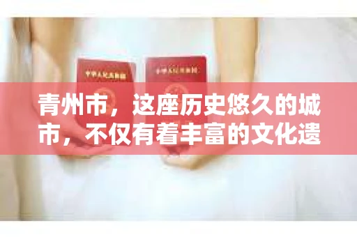 青州市，这座历史悠久的城市，不仅有着丰富的文化遗产，也有着现代生活的便捷。那么，问题来了——青州市有私家侦探公司吗？这个问题，对于需要侦探服务的人来说，无疑至关重要。接下来，我就来为大家揭开这个谜底。