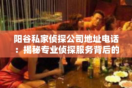 阳谷私家侦探公司地址电话：揭秘专业侦探服务背后的故事