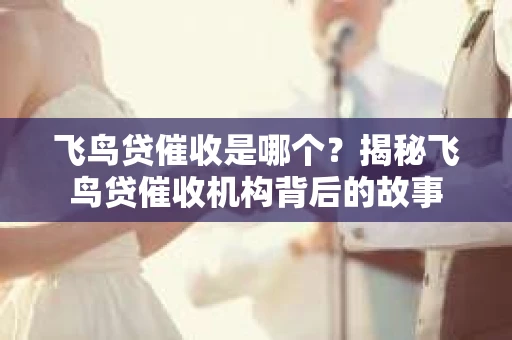飞鸟贷催收是哪个？揭秘飞鸟贷催收机构背后的故事