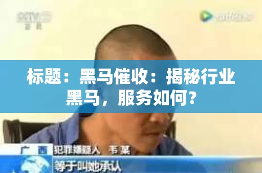 标题：黑马催收：揭秘行业黑马，服务如何？