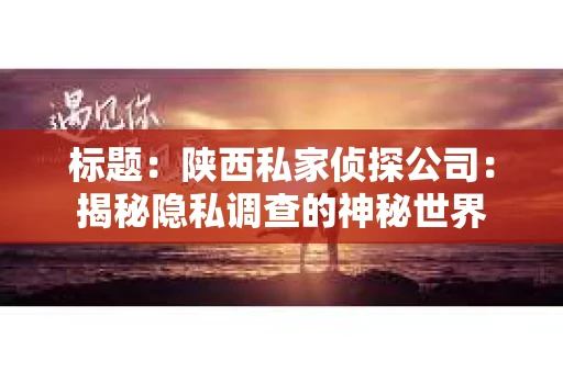 标题：陕西私家侦探公司：揭秘隐私调查的神秘世界