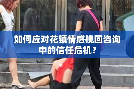 如何应对花镇情感挽回咨询中的信任危机？