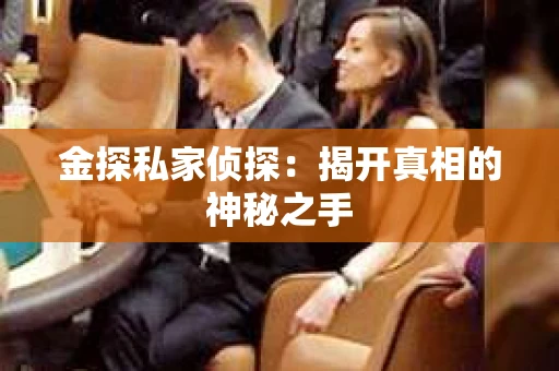 金探私家侦探：揭开真相的神秘之手