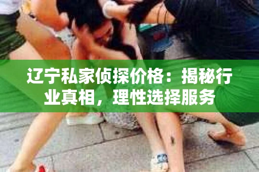 辽宁私家侦探价格：揭秘行业真相，理性选择服务