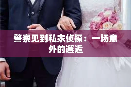 警察见到私家侦探：一场意外的邂逅
