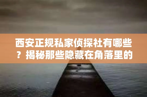 西安正规私家侦探社有哪些？揭秘那些隐藏在角落里的神秘力量