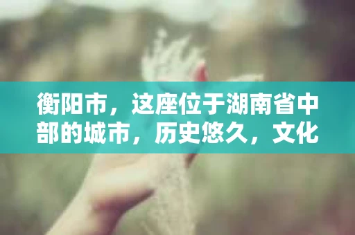 衡阳市，这座位于湖南省中部的城市，历史悠久，文化底蕴深厚。随着社会的发展，人们对于个人隐私的保护意识逐渐增强，私家侦探机构也应运而生。那么，衡阳市是否有私家侦探机构呢？今天，我们就来聊聊这个话题。