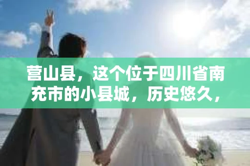 营山县，这个位于四川省南充市的小县城，历史悠久，风景秀丽。但在这个宁静的小县城里，你是否会好奇，有没有私家侦探的存在呢？今天，我就来和大家聊聊这个话题。