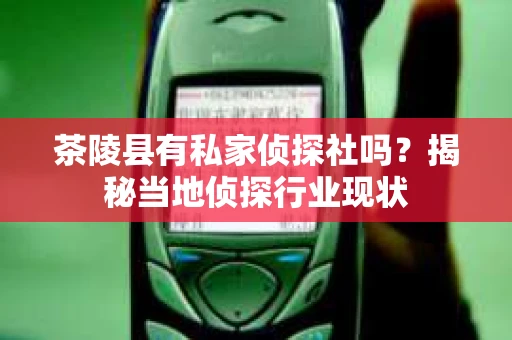 茶陵县有私家侦探社吗？揭秘当地侦探行业现状
