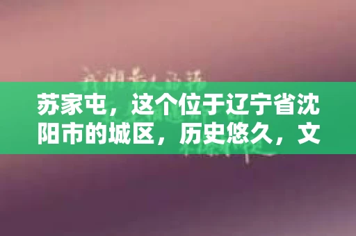 苏家屯，这个位于辽宁省沈阳市的城区，历史悠久，文化底蕴深厚。近年来，随着社会的发展，人们对于私家侦探的需求也逐渐增加。那么，苏家屯有私家侦探吗？今天，我们就来聊聊这个话题。