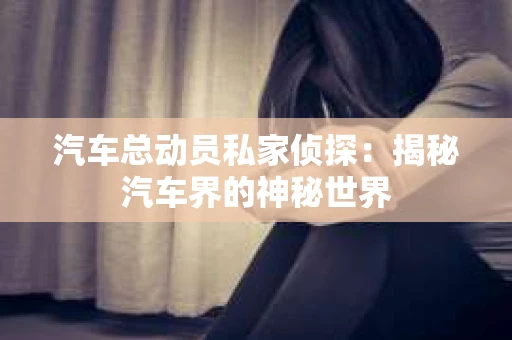 汽车总动员私家侦探：揭秘汽车界的神秘世界