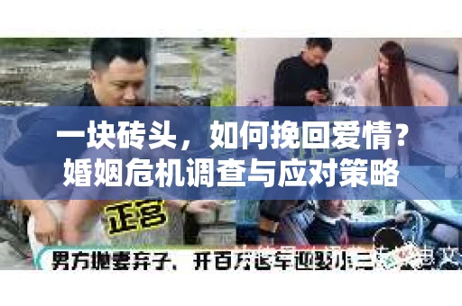 一块砖头，如何挽回爱情？婚姻危机调查与应对策略