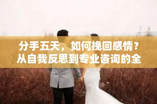 分手五天,如何挽回感情?从自我反思到专业咨询的全面解决方案 分手五天,如何挽回感情?从自我反思到专业咨询的全面解决方案