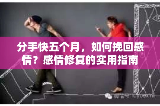 分手快五个月，如何挽回感情？感情修复的实用指南