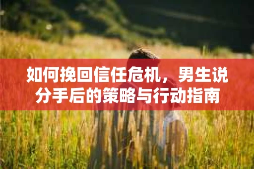 如何挽回信任危机，男生说分手后的策略与行动指南