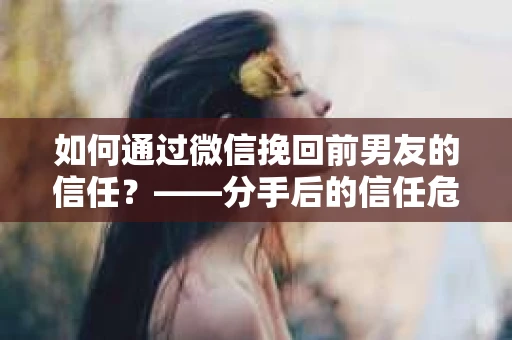 如何通过微信挽回前男友的信任？——分手后的信任危机解决方案