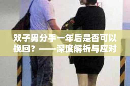 双子男分手一年后是否可以挽回？——深度解析与应对策略
